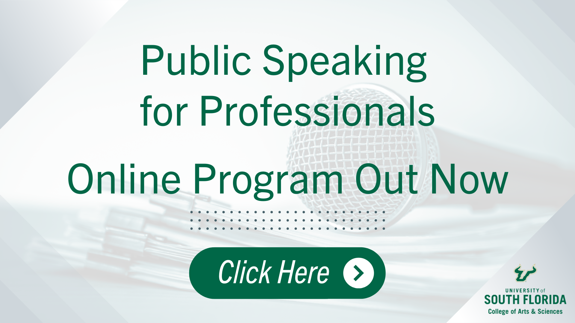 Public Speaking Program
