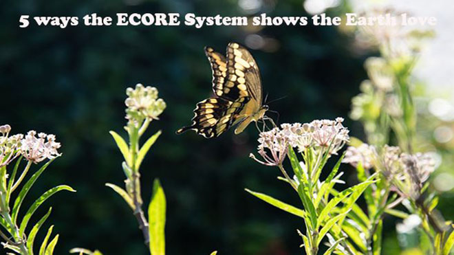 5 Ways the ECORE System Shows the Earth Love 