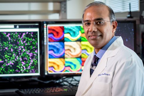 Gopal Thinakaran