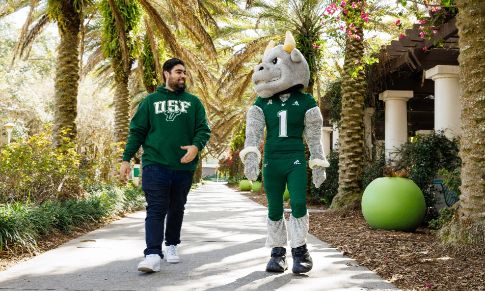 A USF student and Rocky D. Bull walking outside on campus