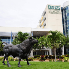 Bull statue in front of the university center