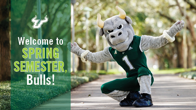 Welcome to Spring Semester, Bulls! with white USF logo and Rocky outside with arms open wide in greeting