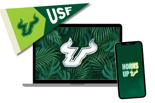 Collage of phone, laptop, and USF pennant