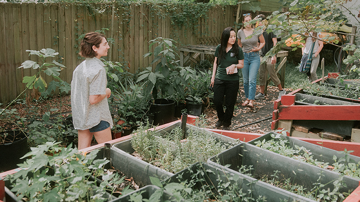 people walking in garden