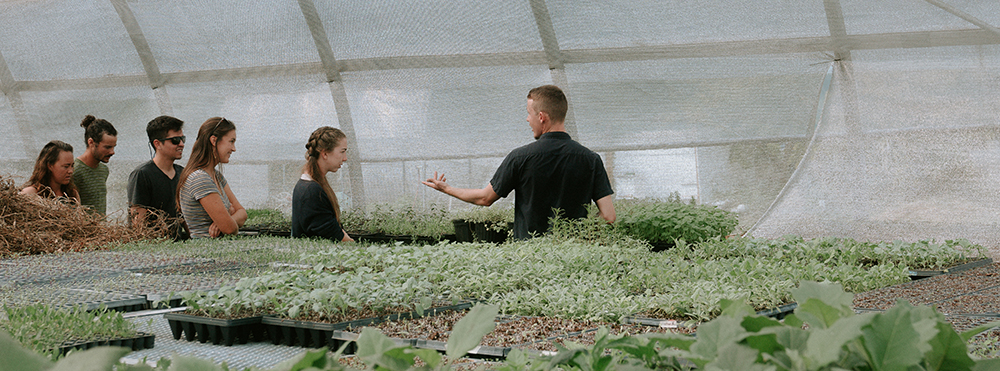 group touring a greenhouse