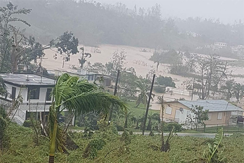 Photo of a flooded area captured by an interviewee from their home. (Photo courtesy of Dr. Elizabeth Aranda)