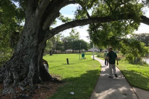 Urban tree canopy in Robles Park, located in Tampa, Fla. (Photo courtesy of Rebecca Zarger)