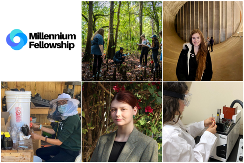 collage of students working fellowships