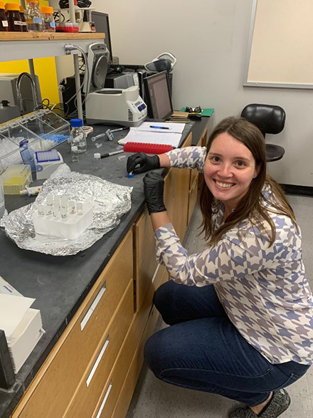 Bews in the Proteomic Core Facility at USF extracting protein from tooth enamel for sex estimation. (Photo courtesy of Elizabeth Bews)