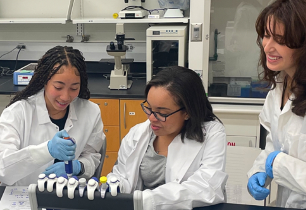 Freedom High School students engage in a pipetting activity in the genetics laboratory, offered to USF undergraduates in the cell and molecular biology major. (Photo courtesy of Sandy Westerheide)