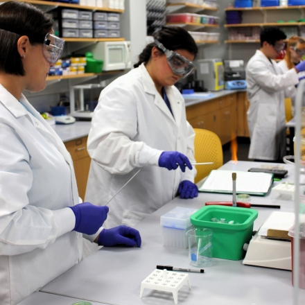 Genetics lab students (from left) Amanda Lovell and Lara Blair using metal inoculating loops instead of the single use plastic loops. (Photo courtesy of Victoria Ramirez)