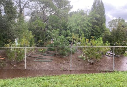 The southwest area of the Botanical Gardens flooded beyond the property’s fence line, lifting and relocating the medicinal garden plots. (Photo courtesy of Nicole Brand)