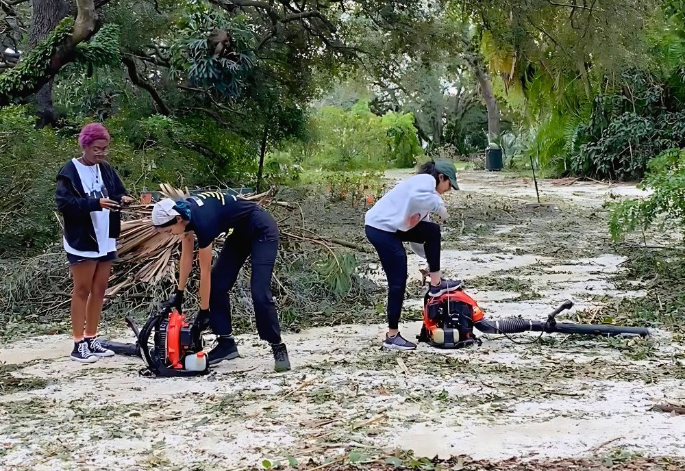 USF Botanical Gardens staff hard at work clearing the damage from Hurricane Milton. (Photo courtesy of Nicole Brand)