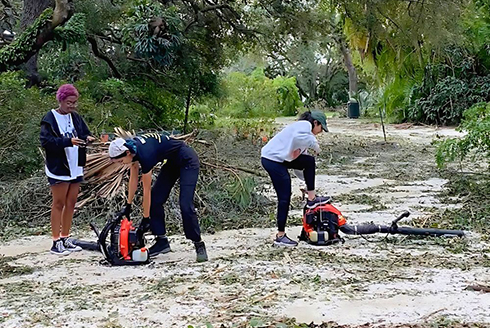 USF Botanical Gardens staff hard at work clearing the damage from Hurricane Milton. (Photo courtesy of Nicole Brand)