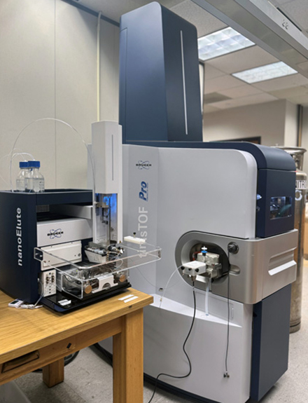 The investigative team will be utilizing high-end instrumentation at USF to support the proposed mass spectrometry-based proteomic studies. Pictured here is the Bruker timsTOF mass spectrometer equipped with a nanoUHPLC system. (Photo courtesy of Stanley Stevens)