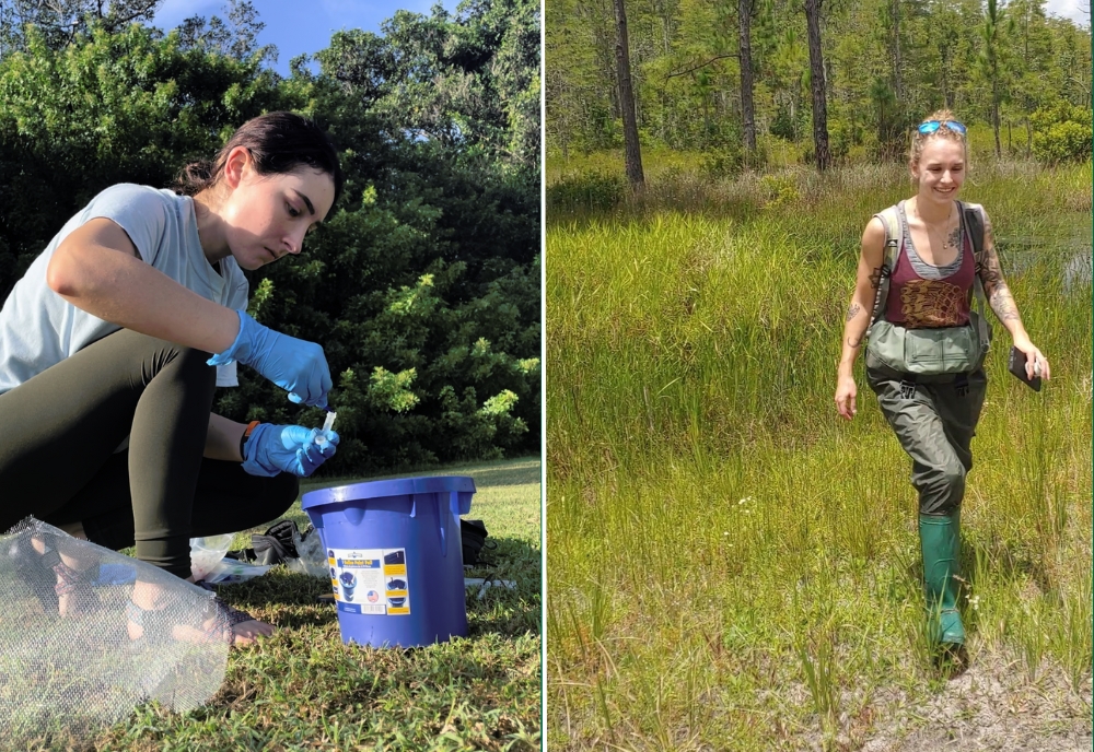 Left: USF College of Arts and Sciences conservation biology master’s student Emily Birdsall collects samples in the field. Right: USF College of Arts and Sciences conservation biology master’s student Jessalyn Aretz.