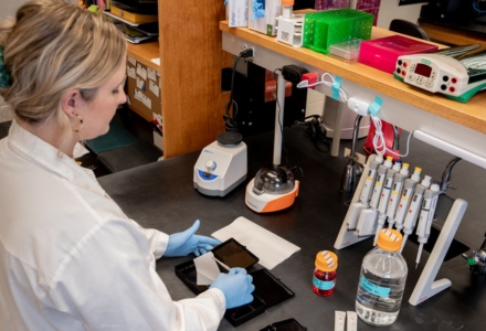 MBS PhD student Alexis Coiner is investigating hepatic epigenetic mechanisms of alcohol use disorder in vivo and in vitro utilizing novel techniques in mass spectrometry, immunofluorescent microscopy, flow cytometry, and qRT-PCR. (Photo by Alessandra Casanova)