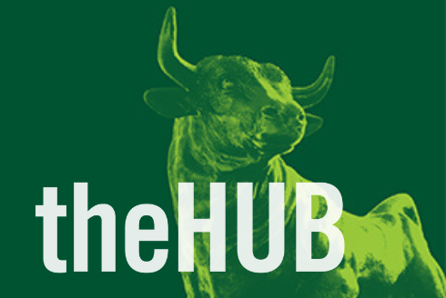 the HUB bull image