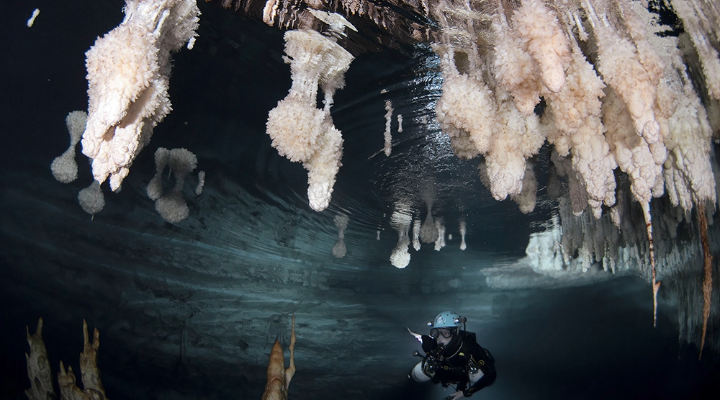 diver under water