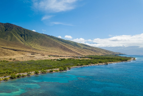 The U.S. Supreme Court ruling addressed the issue of whether a federal permit was needed to discharge wastewater off the west side of the Island of Maui because it was contaminating a coral reef. USF School of Geosciences Chair Mark Rains joined colleagues in advocating for environmental protections.