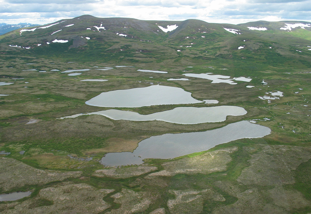 Aerial view of wetlands in Alaska, near Katmai and Lake Clark National Parks | Photo by: Mark Rains