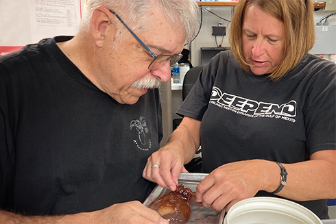 Heather Judkins and researcher study specimen