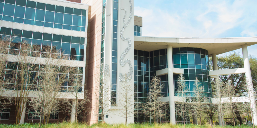 Front of NES building with shimmering art on display