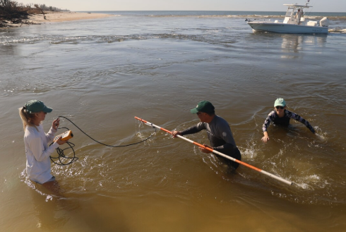 ping and his graduate students collecting data by the shoreline