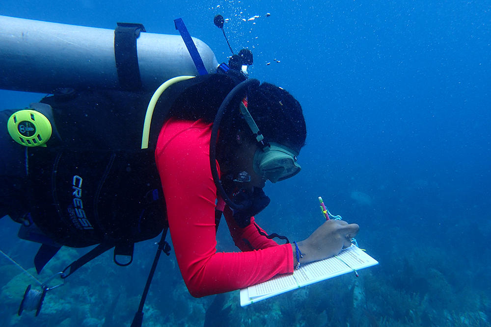 A student in Dr. Parkinson’s lab dives to conduct research on corals.