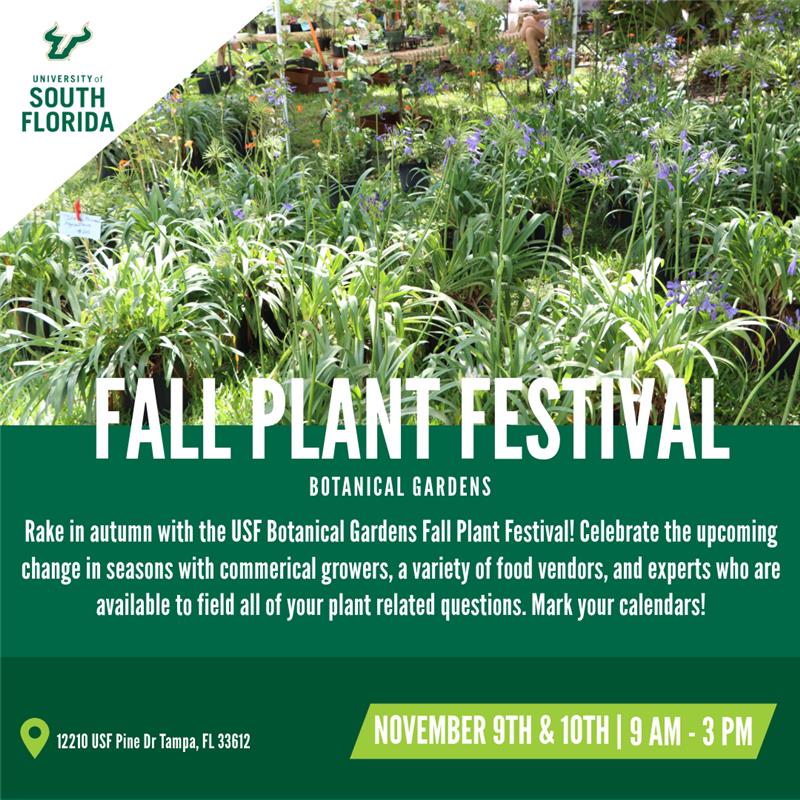 spring plant festival flyer 24