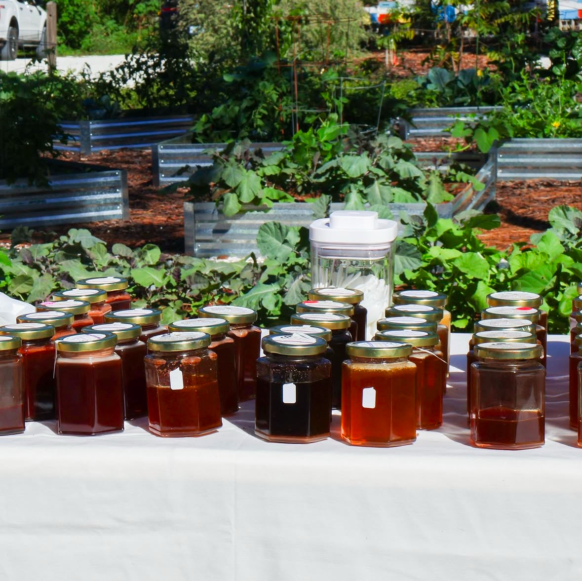 Jars of honey on a table