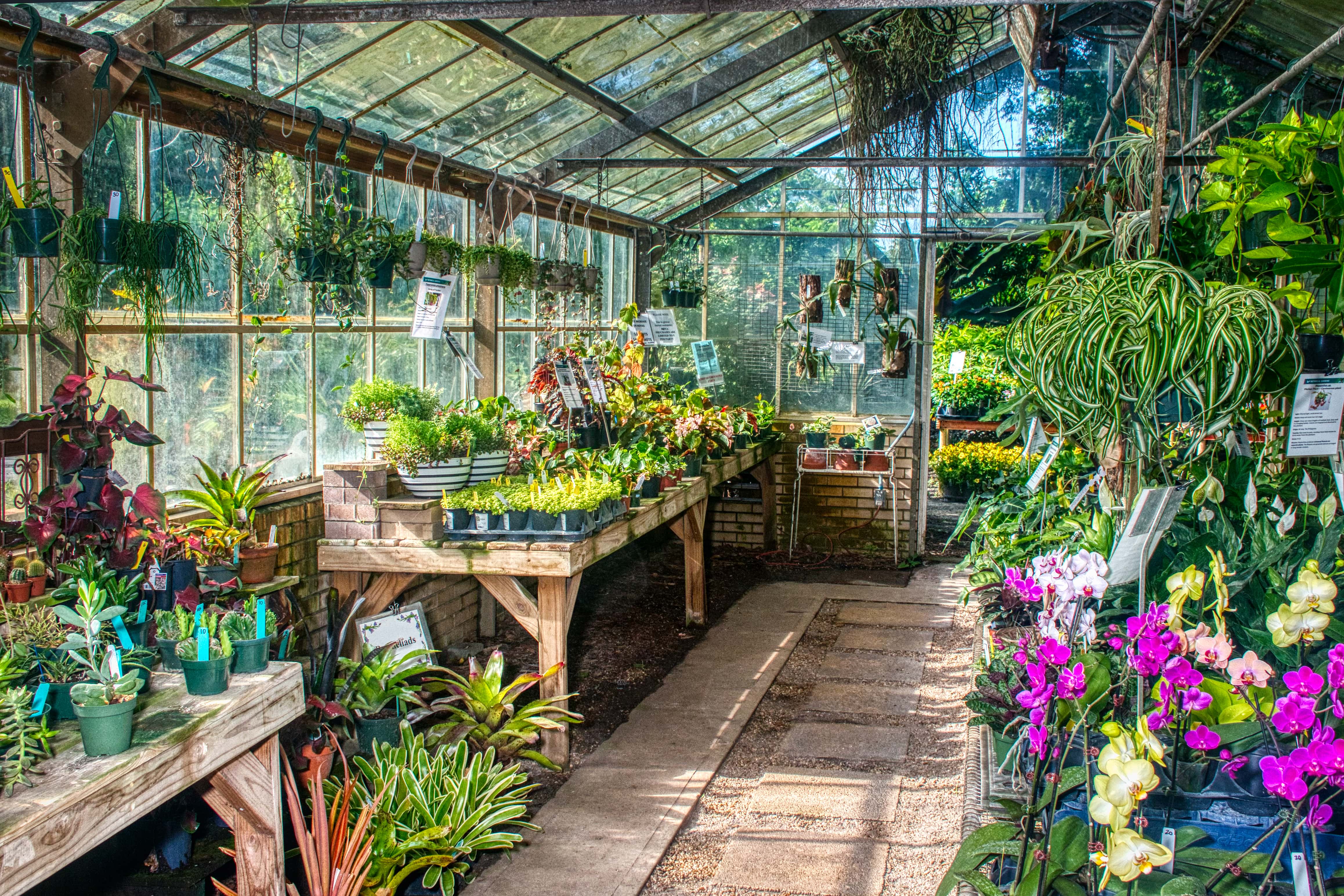How to Create a Yoga Garden - Walter's Greenhouses and Garden Centre