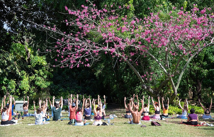 group of people practicing yoga in the USF Botanical Gardens