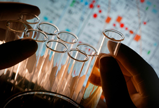 person holding test tubes