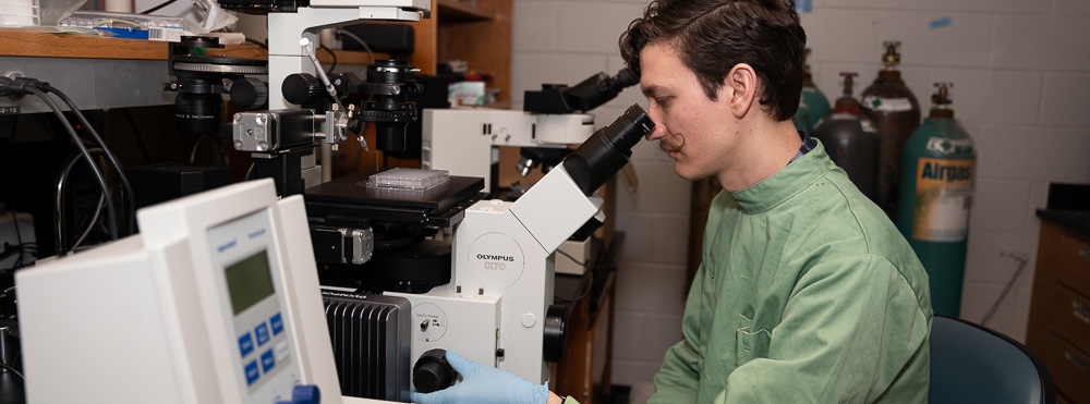 student looks into microscope in lab