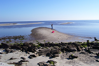 person working on sandy coastline