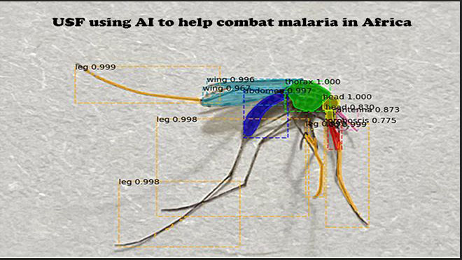 USF Using AI to Combat Malaria in Africa