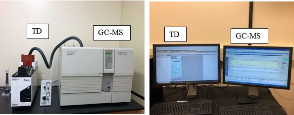 thermal desorption, Gas chromatography mass spectroscopy system