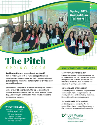 The Pitch Flyer