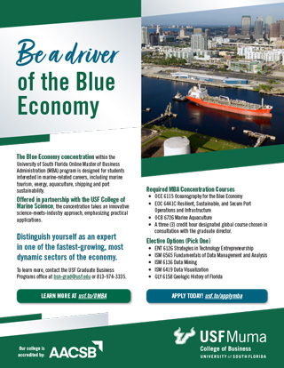 Blue Economy Concentration flyer