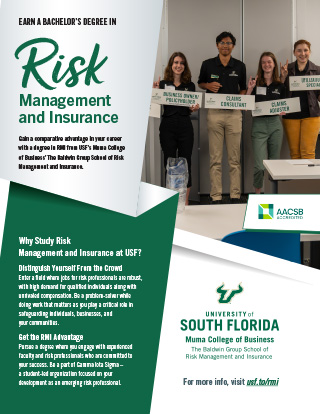 Risk Management and Insurance Flyer