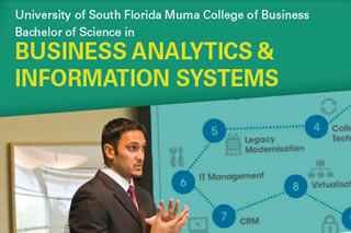 Business Analytics & Information Systems