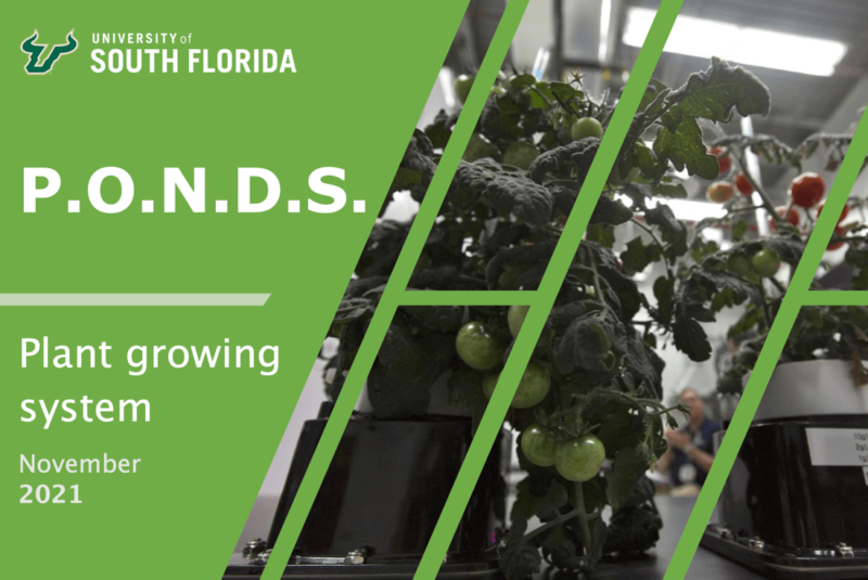 One of the most promising patents USF students are evaluating for commercial use is an automated plant growing system. Photo courtesy of Lin Jiang.