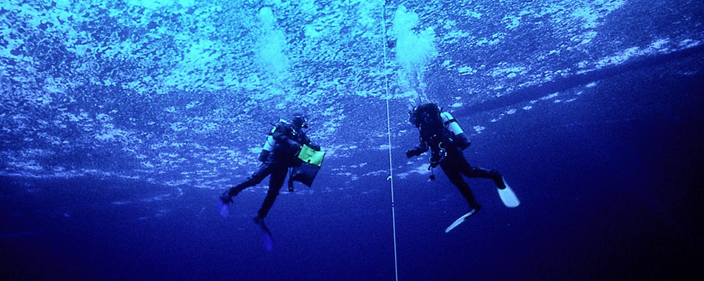 image of underwater divers