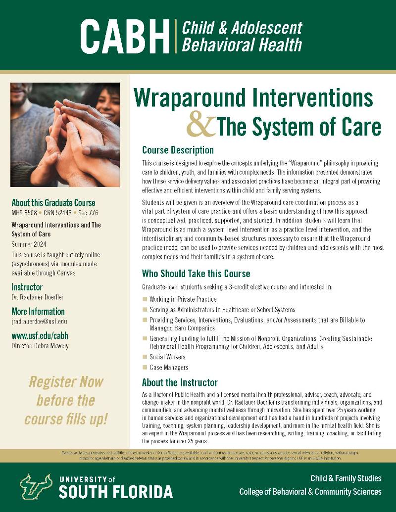 Wraparound Interventions The System of Care