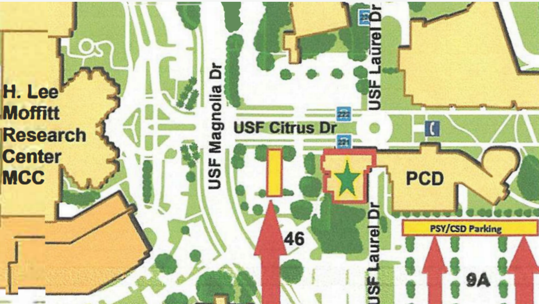 Map of Child Language and Bilingualism Lab on USF campus.