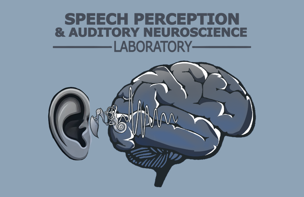 Speech Perception & Auditory Neuroscience Laboratory