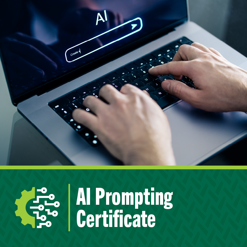 ai prompting certificate