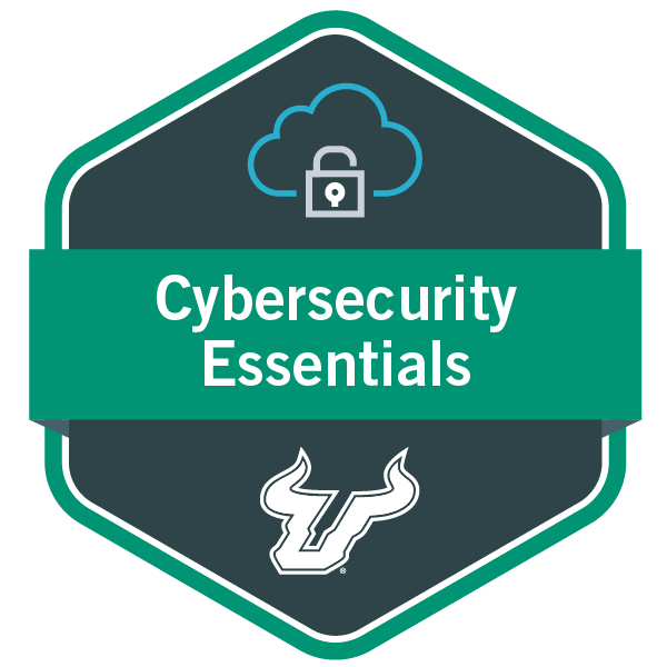 Cybersecurity Essentials