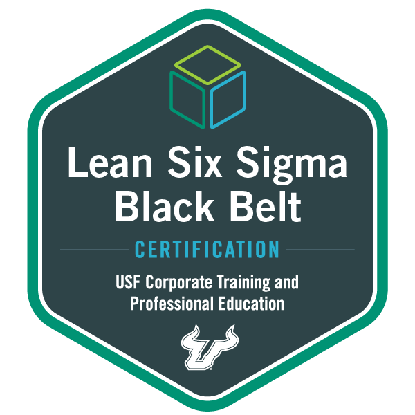 Lean Six Sigma Black Belt